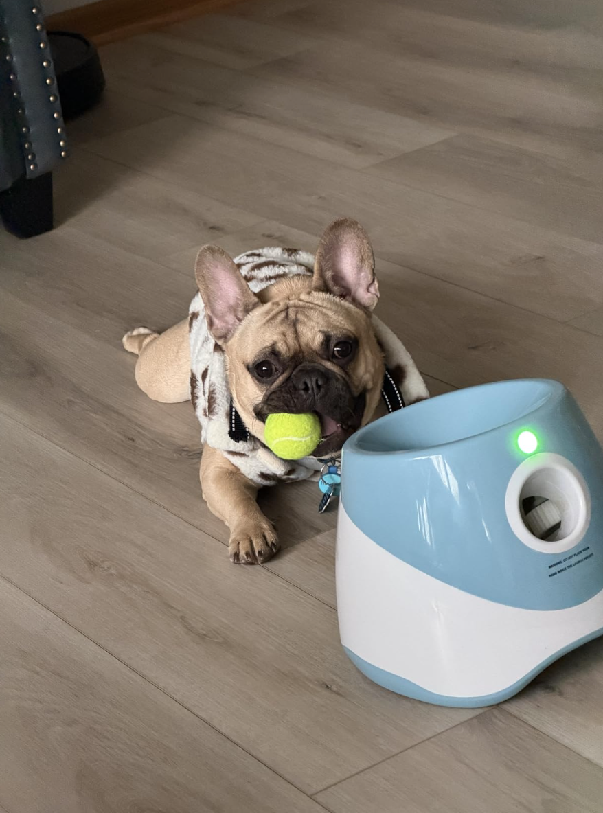 Pawurha Ball Launcher