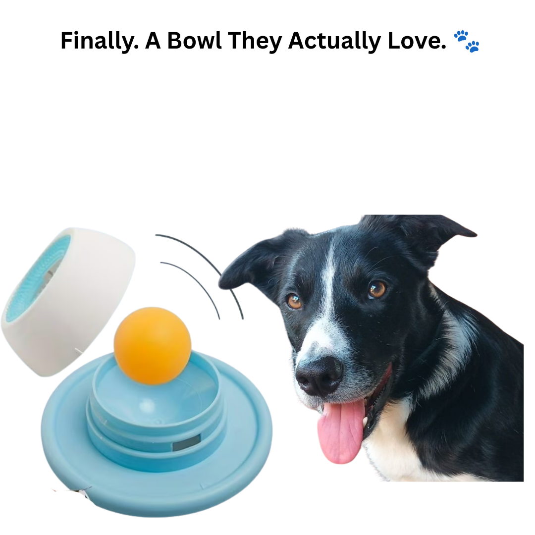 Pawurha- Slow Dog Licker Bowl