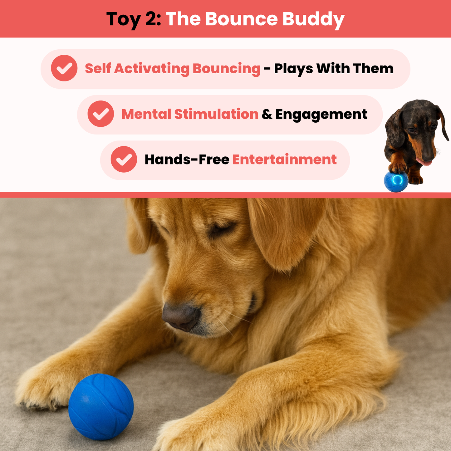 Pawurha Ultimate Stimulation Bundle.