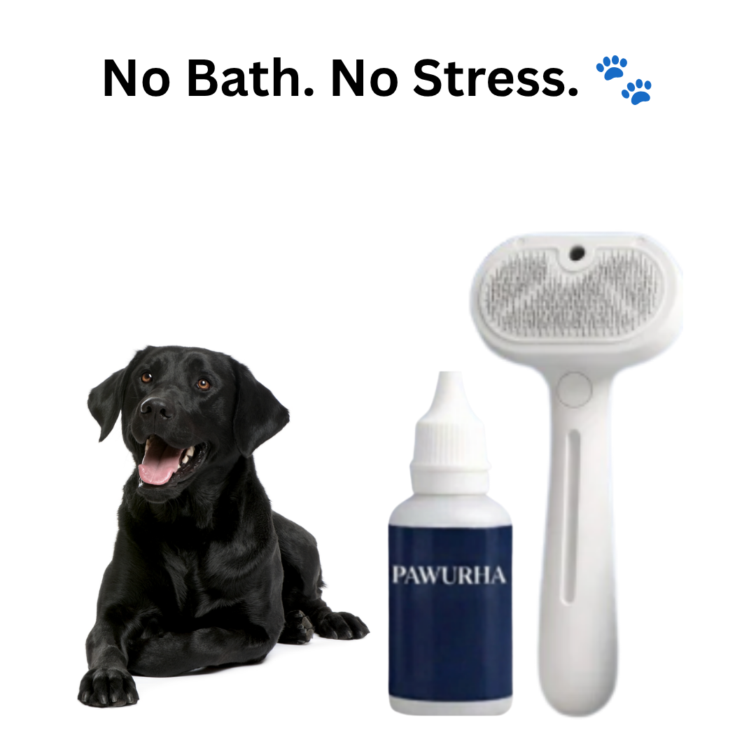 FreshFur Cool Mist Bonding™ Brush + Cleansing Mist Set