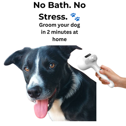 FreshFur Cool Mist Bonding™ Brush + Cleansing Mist Set