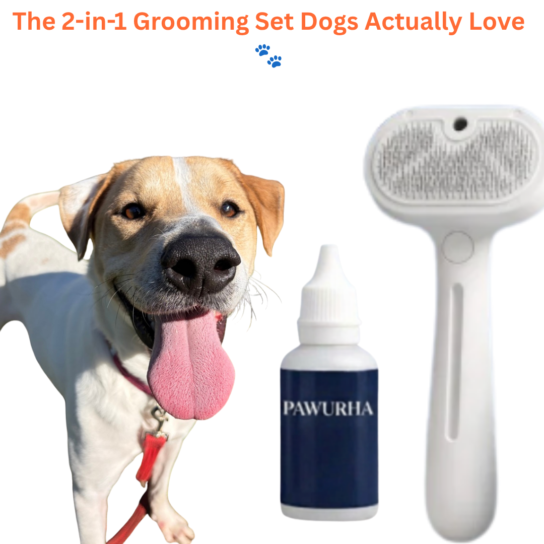 FreshFur Cool Mist Bonding™ Brush + Cleansing Mist Set