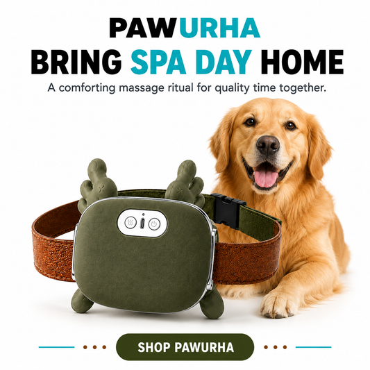Pawurha Dog calming massager