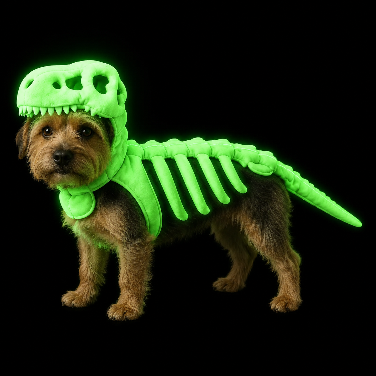 Dinosaur Skeleton Pet Headgear