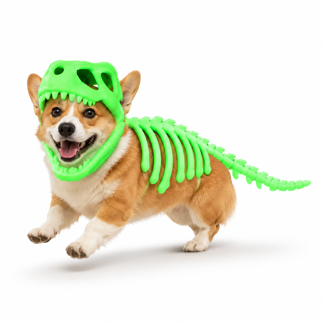 Dinosaur Pet Costume