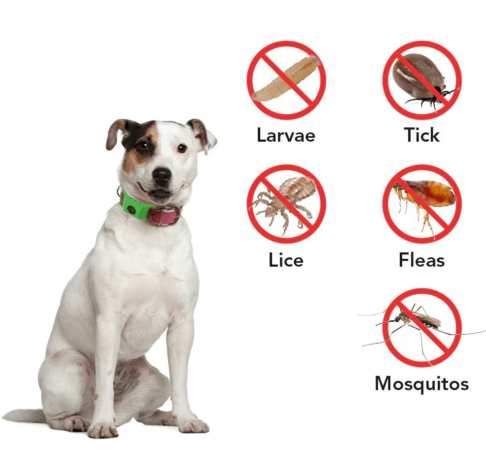 12 Months All Natural Flea and Tick Tags for Dogs
