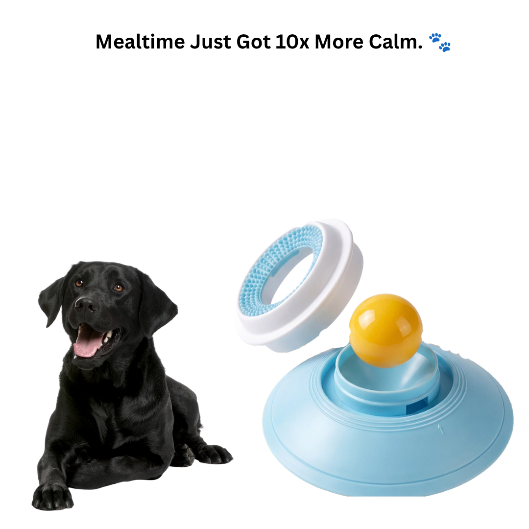 Pawurha- Slow Dog Licker Bowl