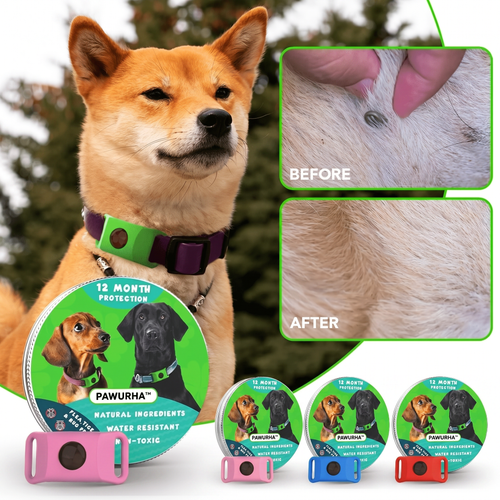 12 Months All Natural Flea and Tick Tags for Dogs